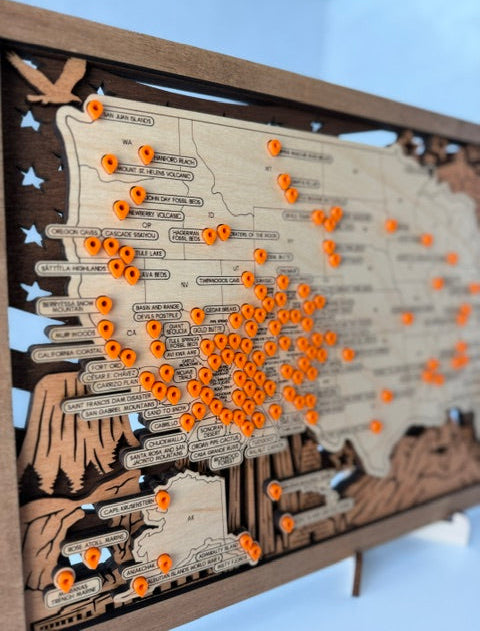 A wooden map wall plaque featuring engraved state outlines, decorative mountain and bird motifs, and many small orange location pins, photographed against a light blue background.